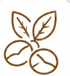 Savour Authentic Indonesian Coffee